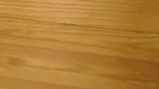 马可福音 第14章 （第一部分）朗读