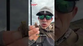 Pesca en el Nahueve inferior #pescaconmosca #flyfishing #atadodemoscas