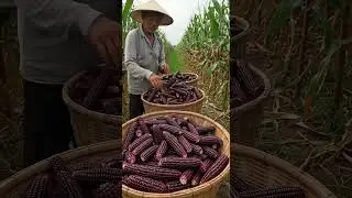 FarmAI | Farm Adventures | Fresh Fruit Harvest from the Farm | FruitAI 🍎🍌🍇 #farmadventures #fruit