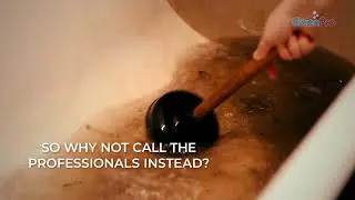 Sewage Backup Services