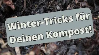 Soll ich den Kompost im Winter weiterführen?