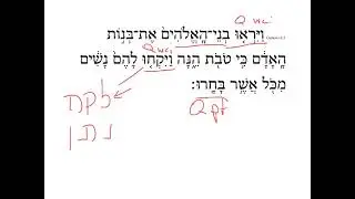 Genesis 6:2 HebrewDaybyDay