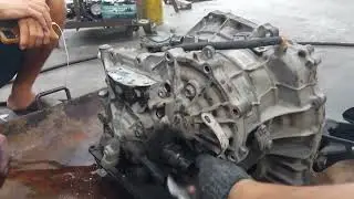 เปลี่ยนชุดซีลเกียร์ TOYOTA ALTIS 2013