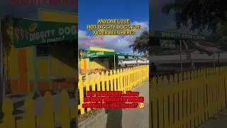 Гриффин Роуд, 2641. По просьбе гостей... Как вам Hot Diggity Dogs?? Я почему-то никогда здесь не ...