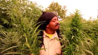 YAH MEEK - THE HERB - CANNABIS SONG RIDDIM