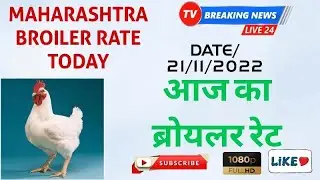 21/11/2022 Broiler Rate today, chicks Rate today, Maharashtra broiler Rate today,#indpoultry