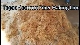 Coconut Fiber single roller Production Line from Lisa Topan