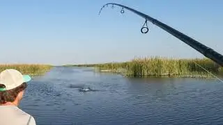 Topwater Explosions in the GLADES!