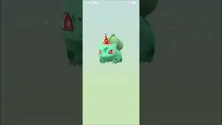 egg hatching season #pokemon #pokemongo