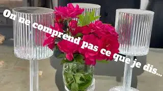 HPE. Neuroatypie.  4/ On ne comprend pas ce que je dis.