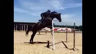 2020, Marlene and Oxer van de Boortoren