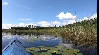 July 2019 Loon Lake kayak