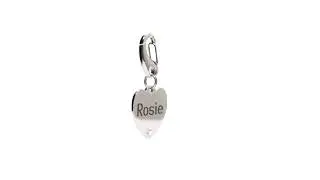 Luxury Heart Silver Dog Tag