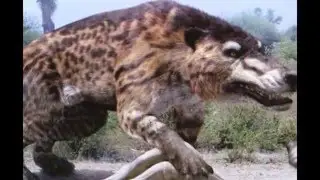 Tổng hợp những qu&aacute;i vật ăn thịt kinh ho&agrave;ng nhất thời tiền sử !