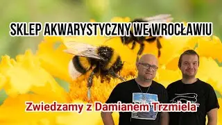 Co Warto Zobaczyć we Wrocławiu jako Akwarysta | Trzmiel