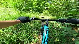 MTB por el bosque HOIA BACIU 