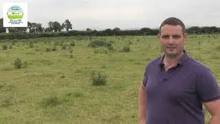 Eddie Gavin - Reseeding