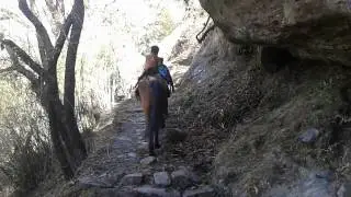 20015 thuloshyafru sherap singgi,