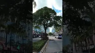 Drive in Las Olas Boulevard, Fort Lauderdale, Florida | #lasolas #fortlauderdale #shorts