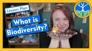 What is Biodiversity? - Lesson Plan