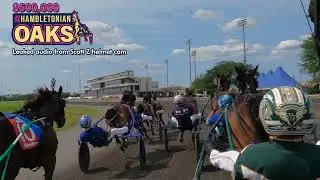 2025 Hambletonian Oaks | Leaked audio from Scott Z helmet cam