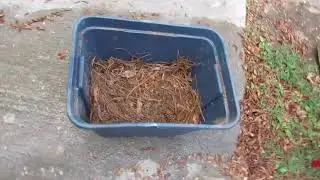 DIY: Worm Farm!!!
