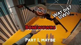 The Boneworks experience