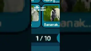 🤣 #horse #sso #edit #starstableonline #viral #starstable #shorts