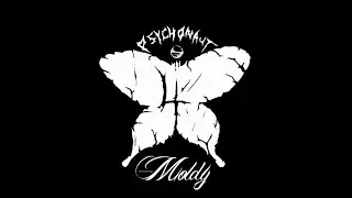 PSYCHONAUT 4 - Moldy (subtitulado)
