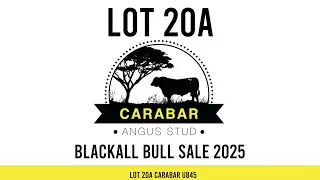 Lot 20A Carabar U845