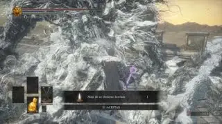 DARK SOULS&trade; III: Vs Stray Demon (Miniboss) (NG+)(Drang set)