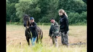 Ostwind: Interview Filmpferde.com
