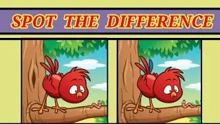 Spot the difference | find the difference in 1 minute | spot the difference challenge #puzzle