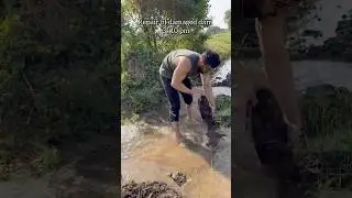 FARM WORK VLOG✅ #village #farming #vlog #minivlog #fitness #motivation #bodybuilding #shorts #desi