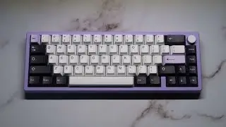 Zoom65 Essential Edition Sound Test