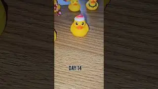 The Most Adorable Ducky Advent Calendar Days 4 to 14!