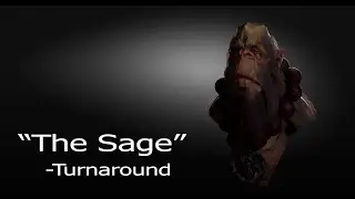 The Sage- Turnaround