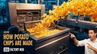 How Potato Chips Are Made in Factories|  USA Factory Hub.