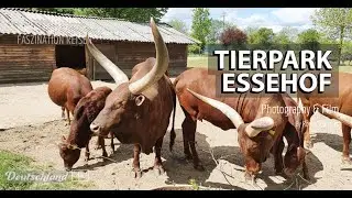Tierpark Essehof / Ein Tag im Tierpark Mai 2020