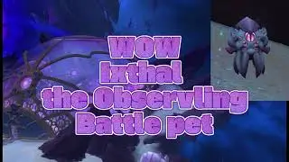 WOW Ixthal the Observling Battle pet treasure location: The War Within(Patch 11.2)