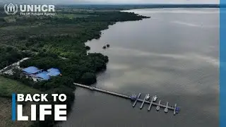 A displaced community in Columbia is reviving endangered mangroves