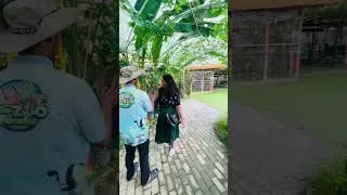 This owl attacked🦉 Toddler Mom!! P #song #remix #punjabisong #zoo #owl #arshi #toddlermom #funny