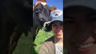 There it is! | Organic Valley