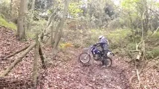 beta xtrainer Monarch's Way Middle Winterslow 15 11 2015