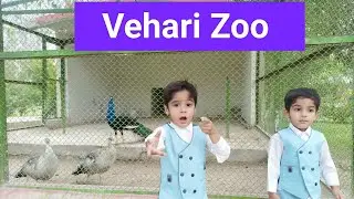 Zoo Vehari #zoo #vehari #kids