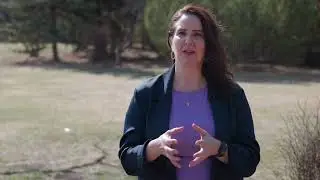 Air Quality - Public health Advice