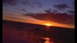 rogerthat, chasing the sun