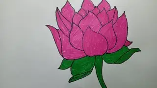 Lotus ka drawing ll how to draw lotus drawing