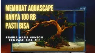 Cara membuat aquascape tema bonsai cuman 100rbu atau $7 pemula pasti bisa