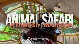 ​Monkey Island & Animal Feeding at A'Famosa Animal Safari